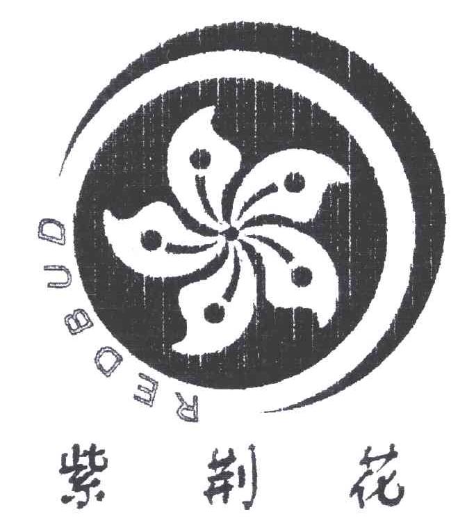 紫荆花;REDBUD