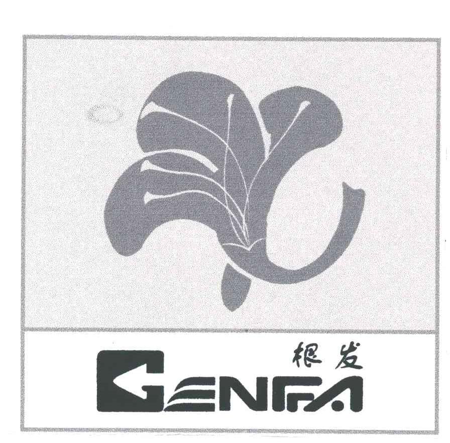 根发及图