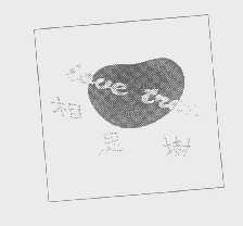 相思树   LOVE TREE