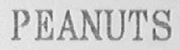 PEANUTS