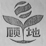 顾地