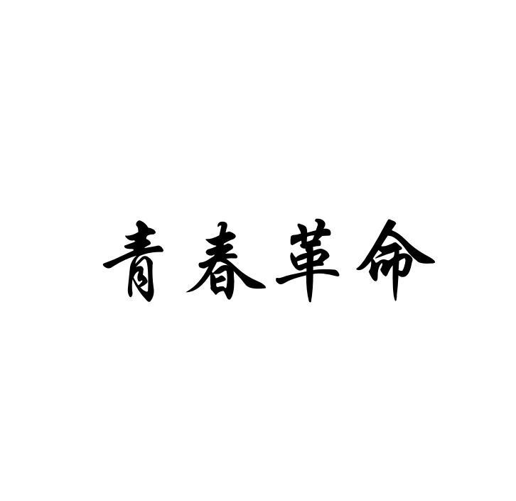 青春革命