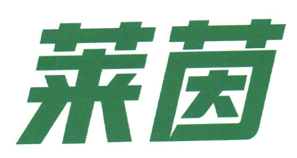 莱茵