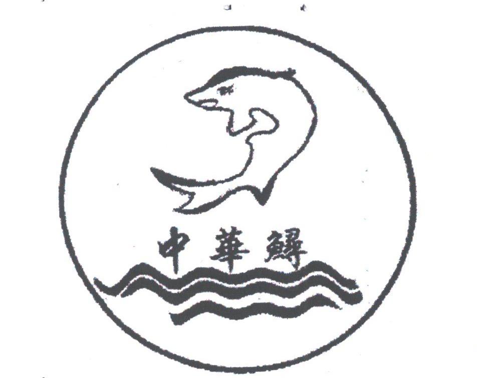 中华鲟