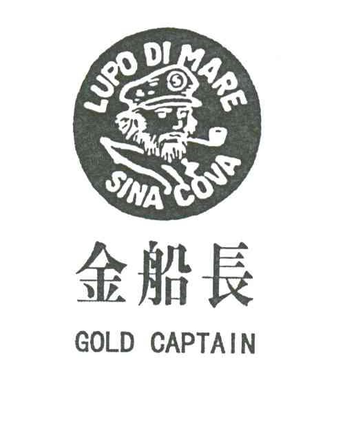 金船长;GOLD CAPTAIN;LUPO DI MARE SINA COVA