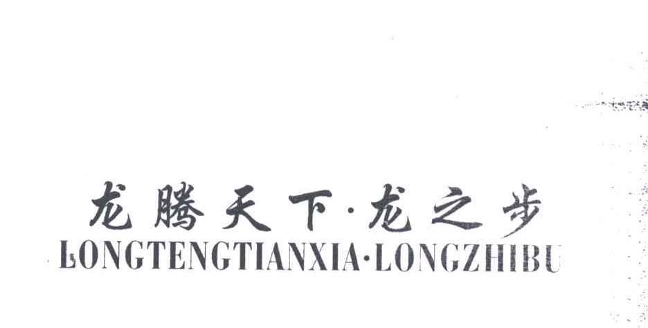 龙腾天下龙之步