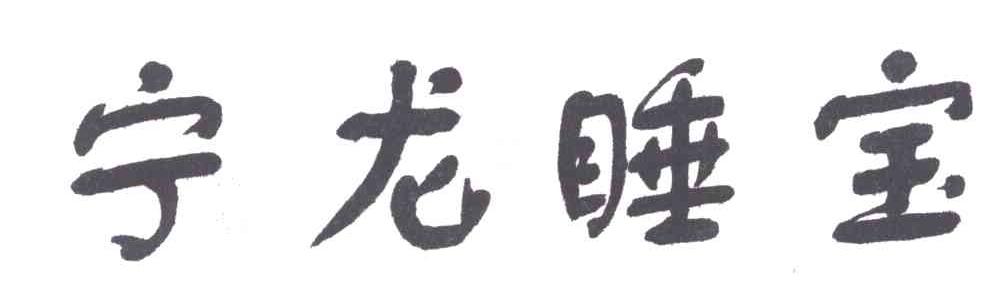 宁龙睡宝