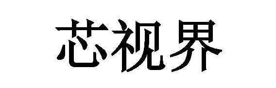 芯视界