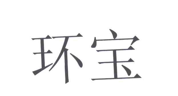 环宝