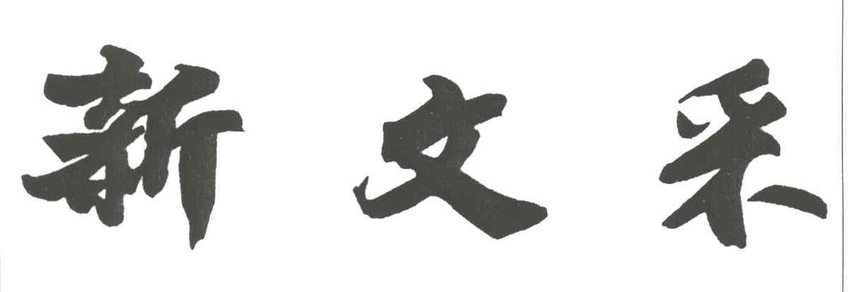 新文采