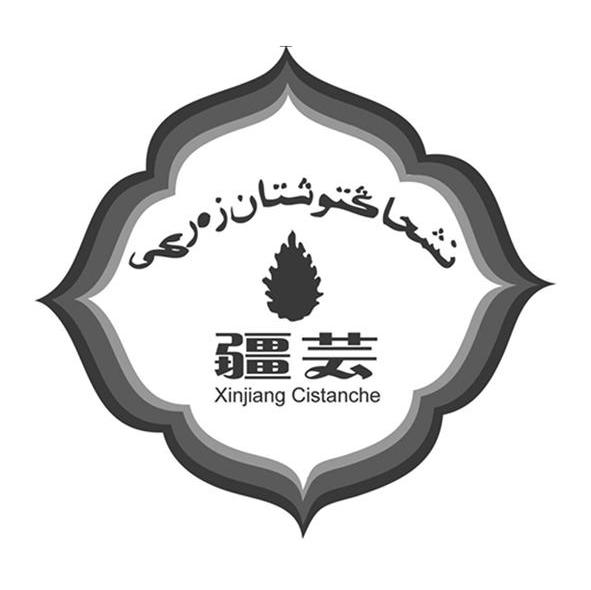 疆芸 XINJIANG CISTANCHE