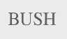 BUSH