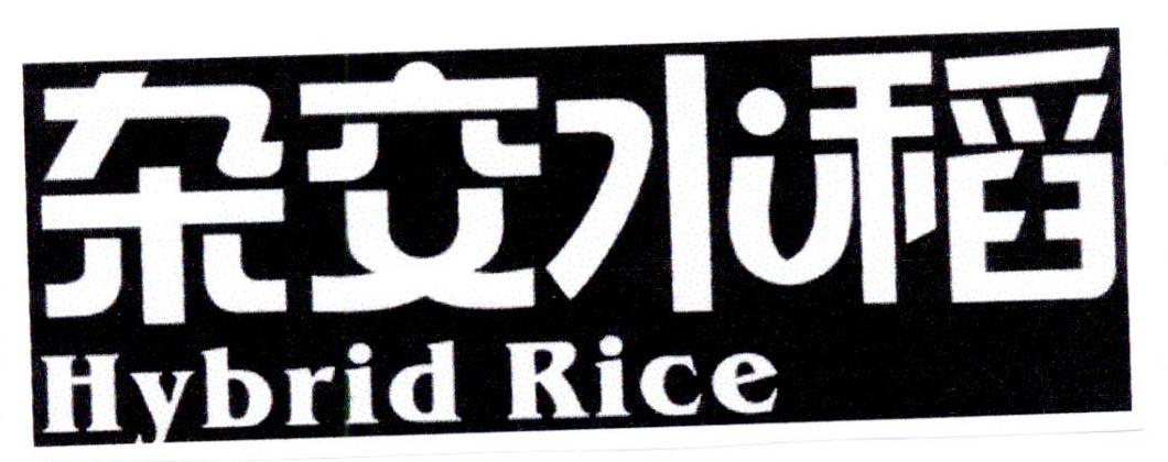 杂交水稻 HYBRID RICE
