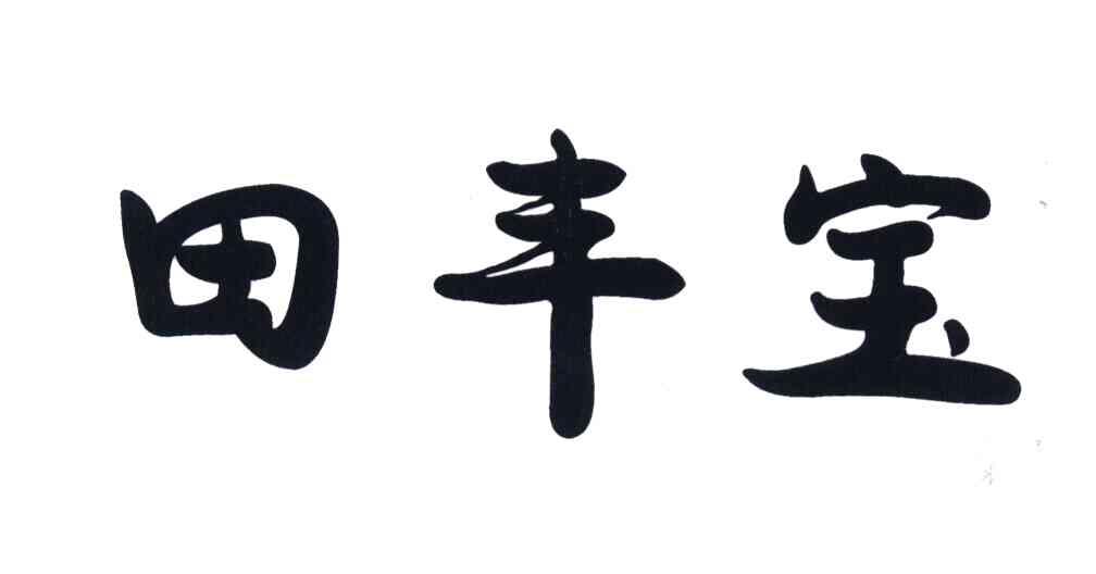 田丰宝