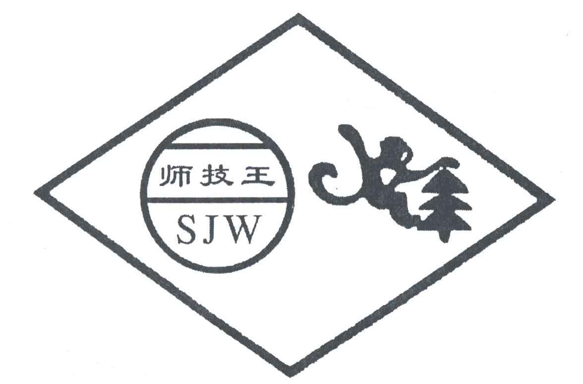 师技王;SJW