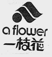 一枝花 A FLOWER