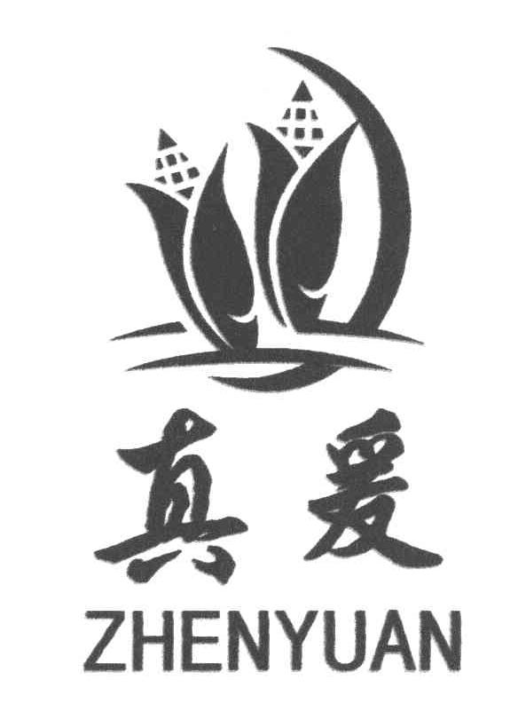 真爰