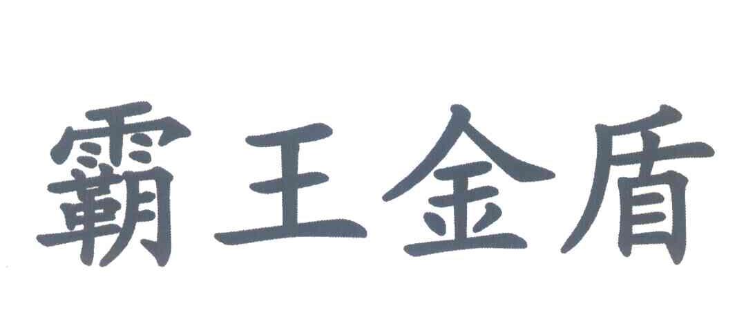 霸王金盾