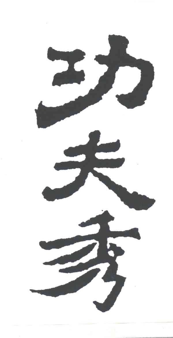 功夫秀