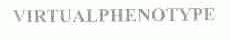 VIRTUALPHENOTYPE