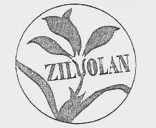 ZILUOLAN