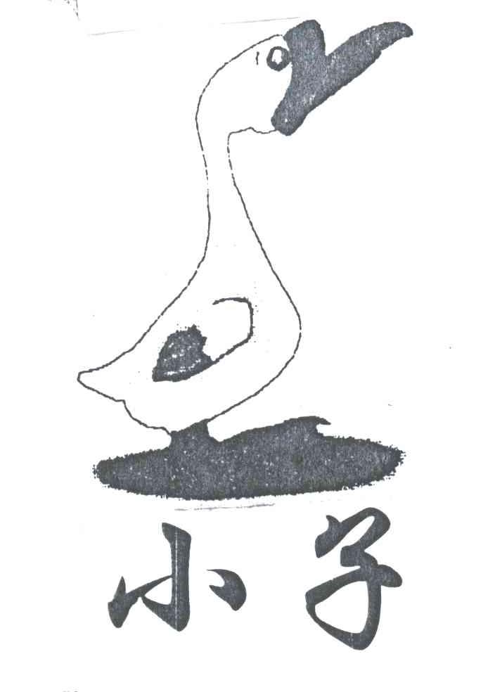 小子