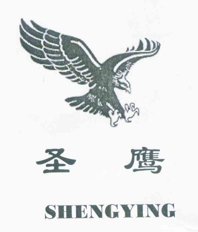 圣鹰