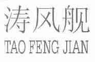 涛风舰