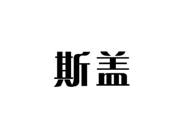 斯盖