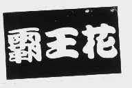 霸王花