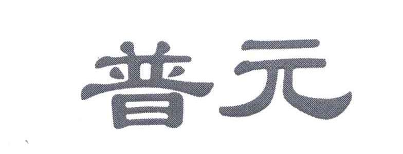 普元