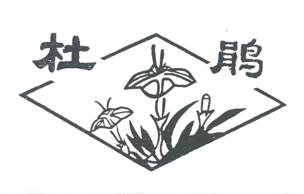杜鹃