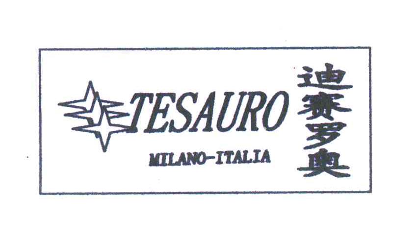 迪赛罗奥;TESAURO ;MILANO ITALIA