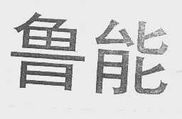 鲁能