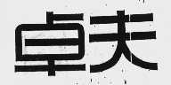 卓夫