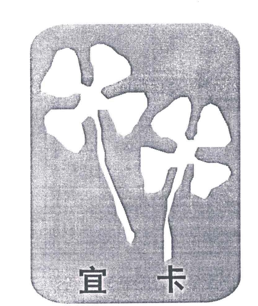宜卡