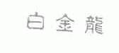 白金龙