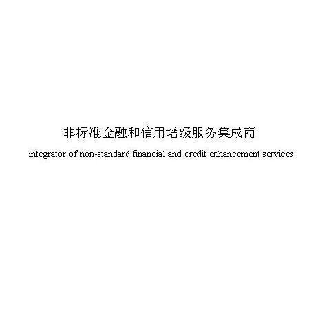 非标准金融和信用增级服务集成商 INTEGRATOR OF NONSTANDARD FINANCIAL AND CREDIT ENHANCEMENT SERVICES