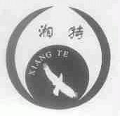 湘特