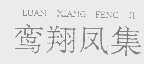 鸾翔凤集