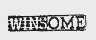 WINSOME