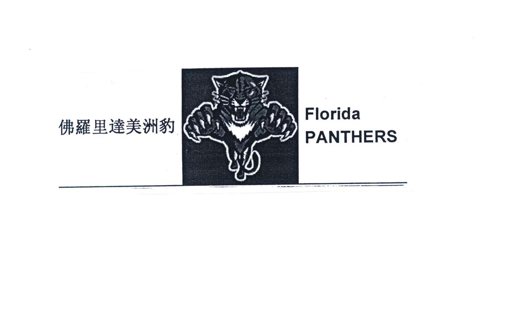 佛罗里达美洲豹;FLORIDA PANTHERS