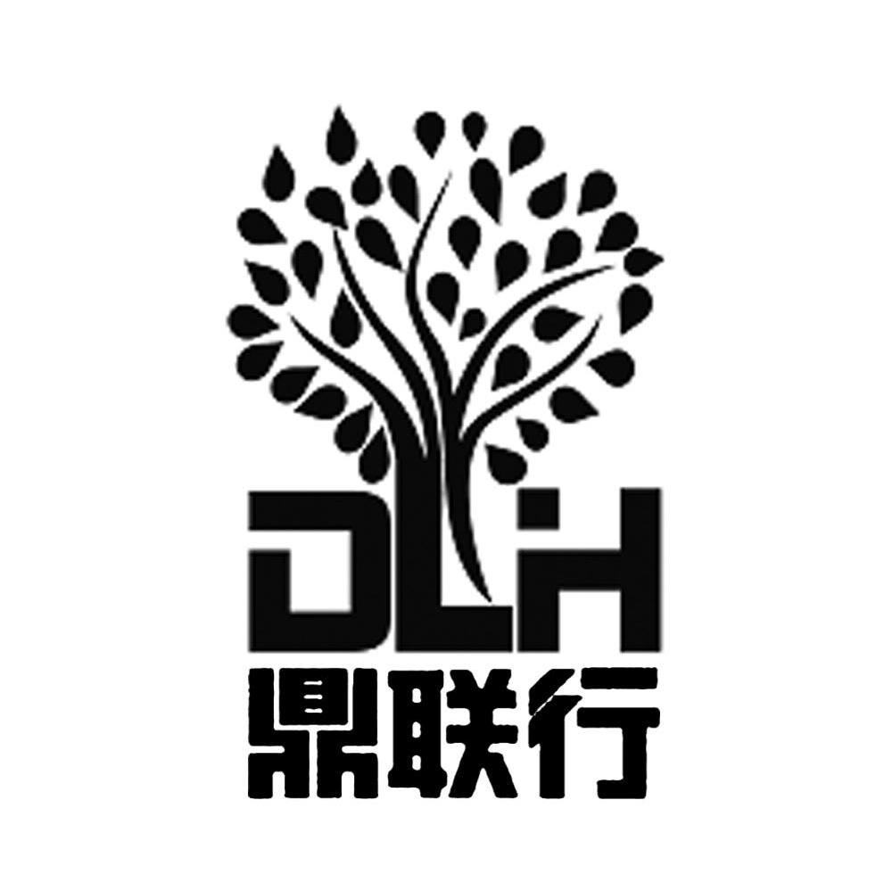 鼎联行 DLH