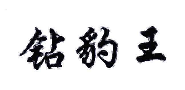 钻豹王