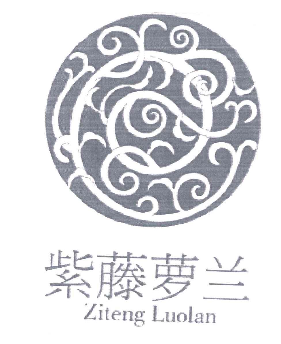 紫藤萝兰