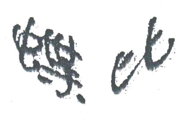 蝶比