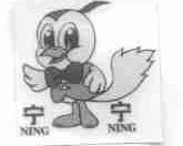 宁宁