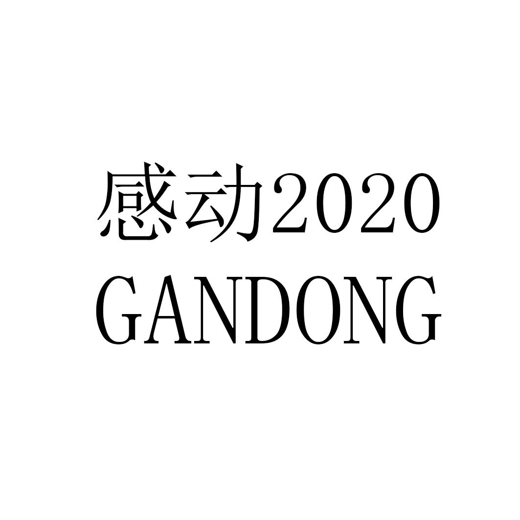 感动 2020