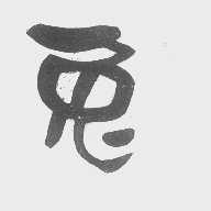 兔