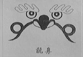 龙鼻